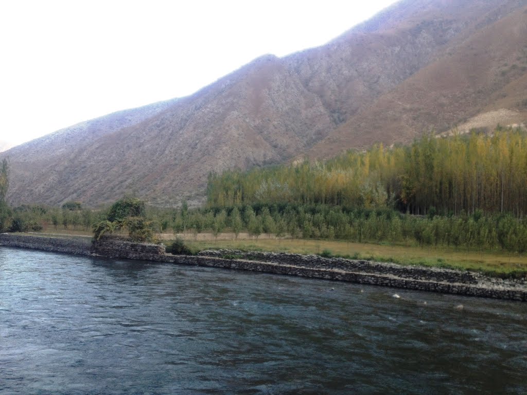 Near to Chaman e Khusdeh Farkhar