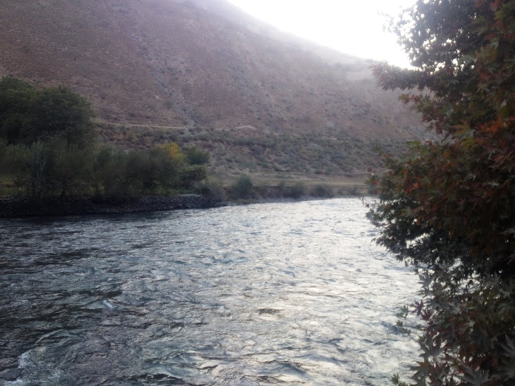 Near to Chaman e Khusdeh Farkhar