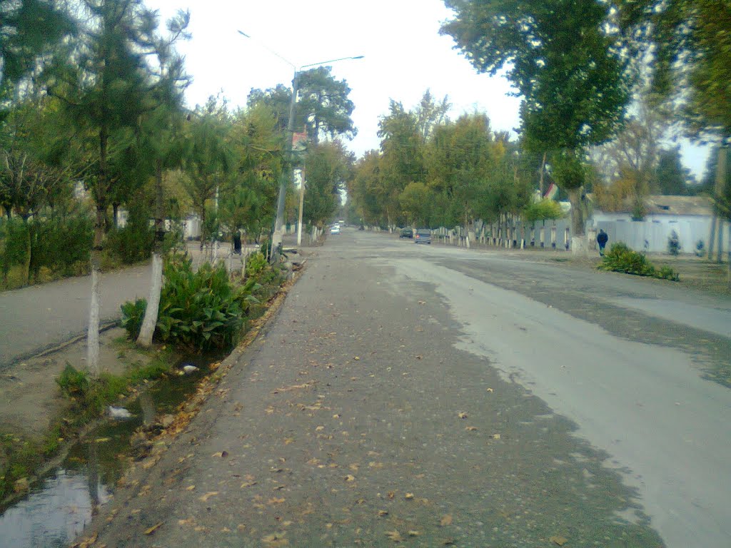 Дорога Ленинская