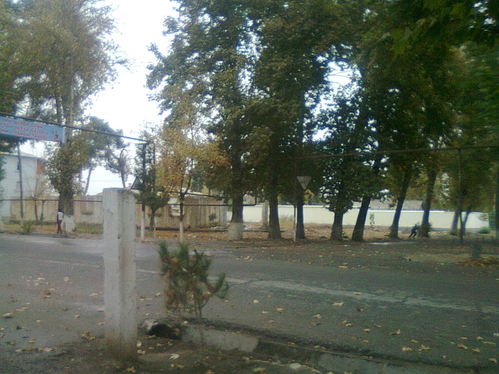 Поссавет