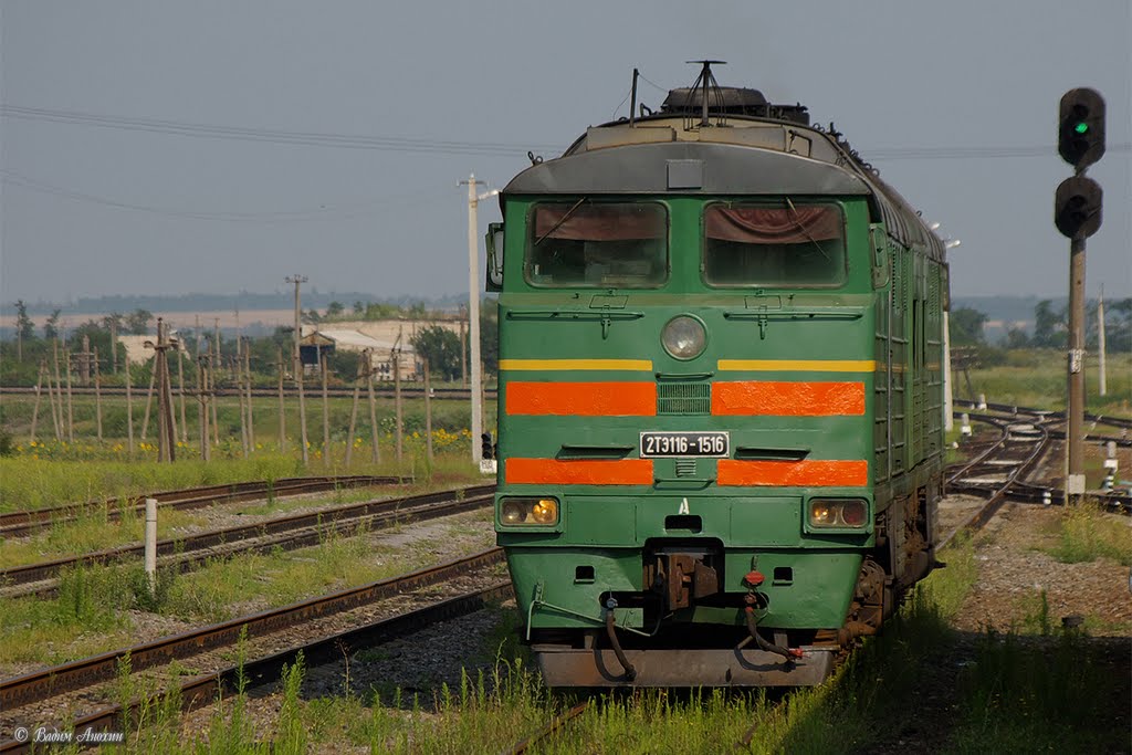 Diesel locomotive 2TE116-1516 on Kamysh-Zarya train station