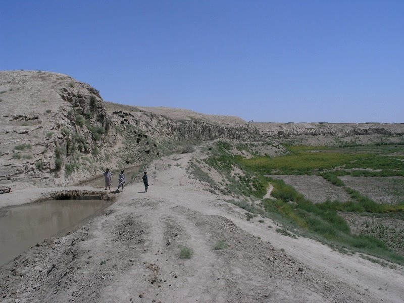 Kunduz Ashqalan