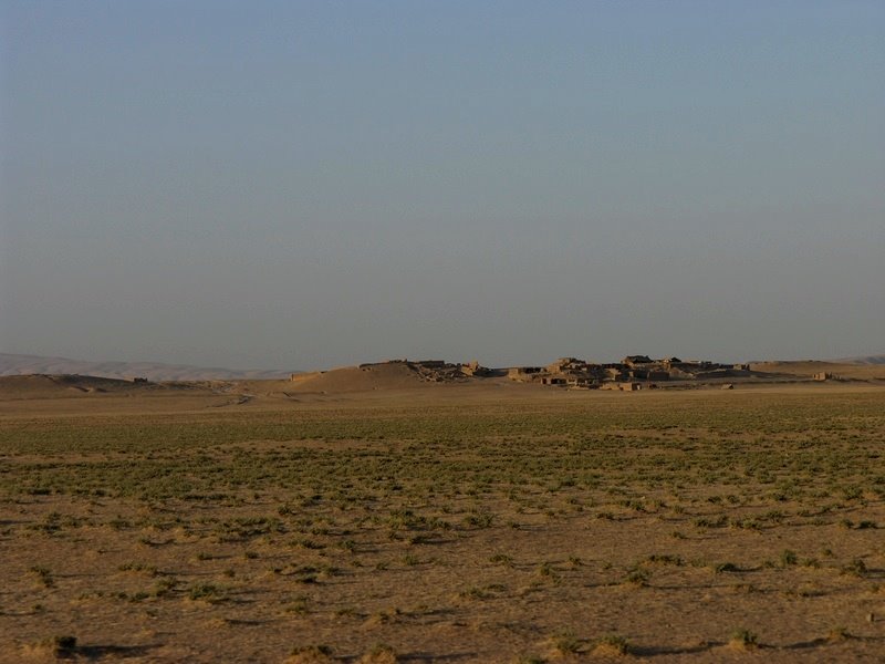 Kunduz Ashqalan