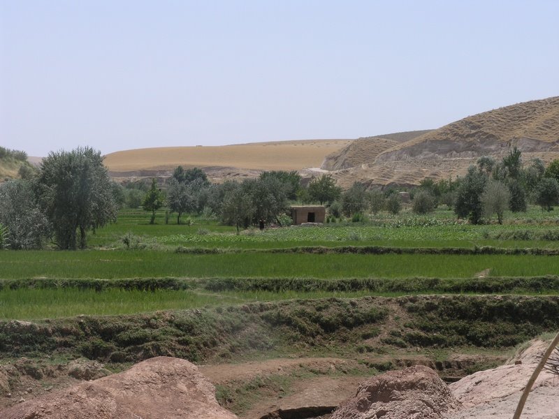Sharawan near Taloqan