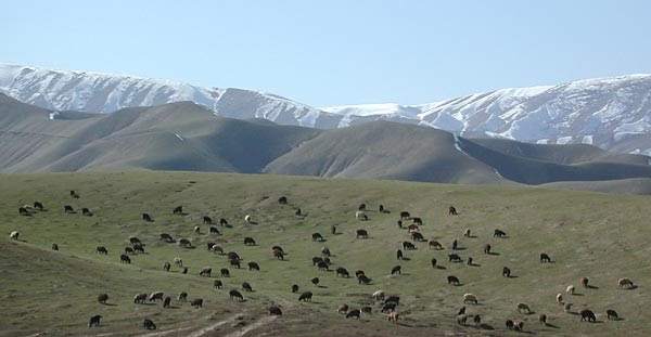 Taloqan