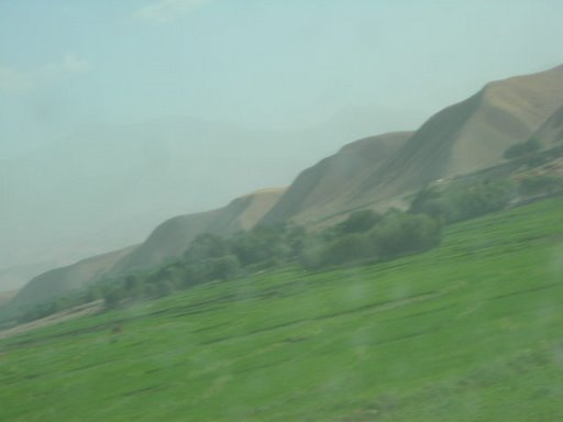 qonduz,afghanistan risefield