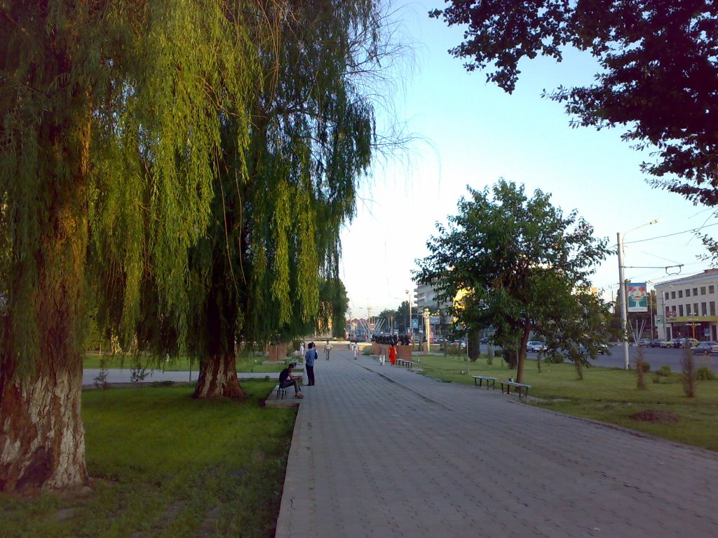 Alley at the main street - Аллея на главной улице города