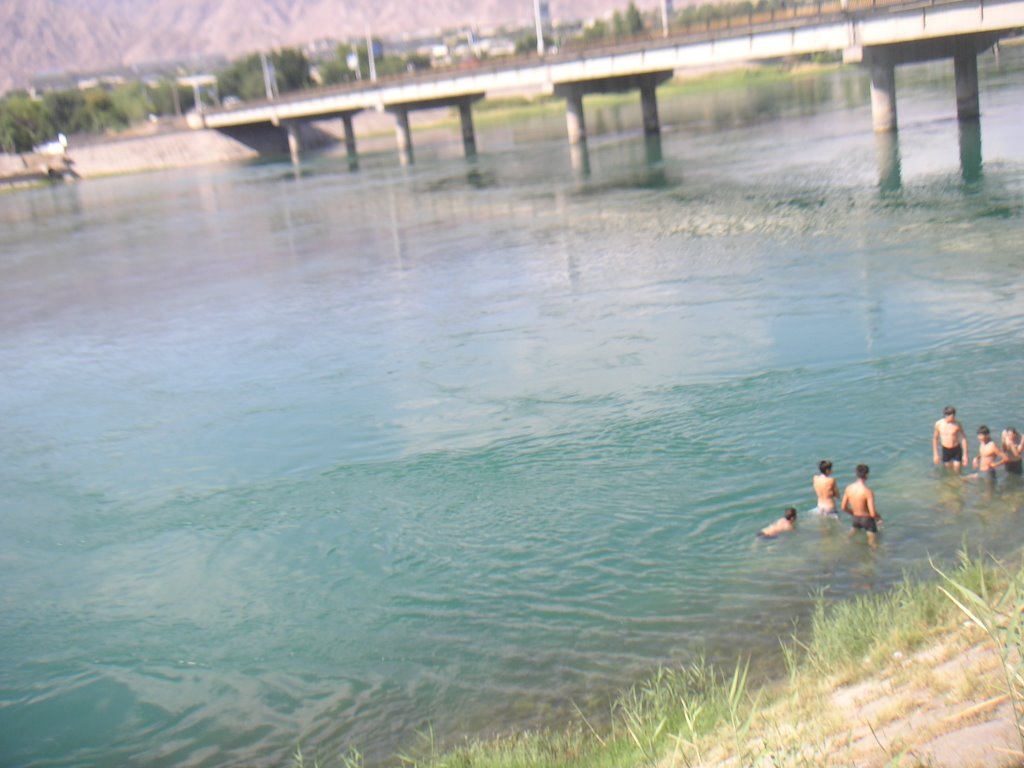 Syr Darya bridge