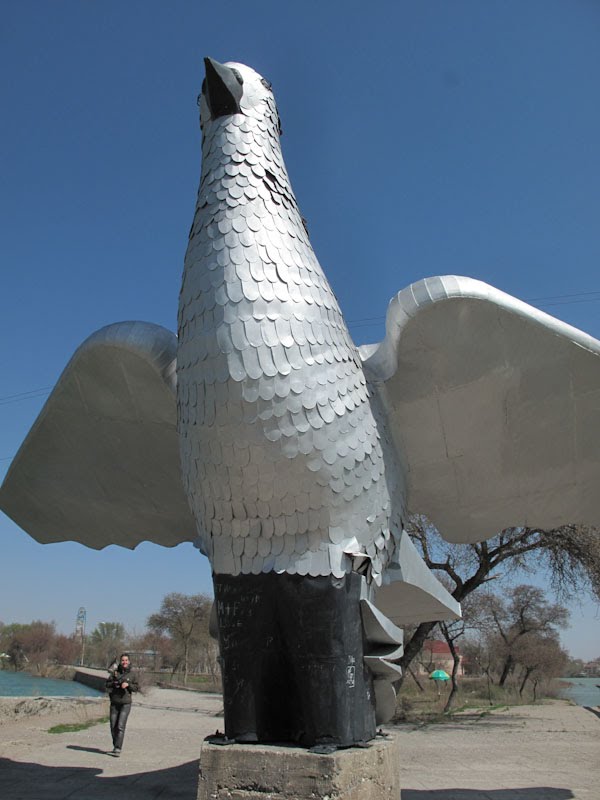 Giant pigeon