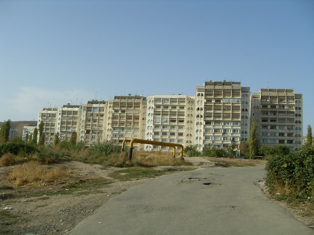 Зарафшон