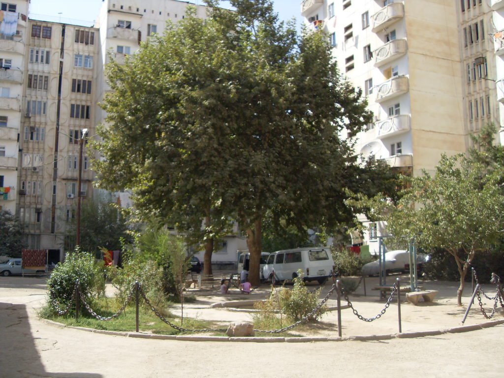 Зарафшон дом 8