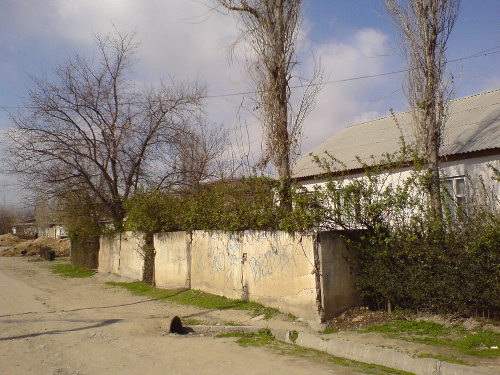 ул. Р.Набиев (246а) Мой дом :)