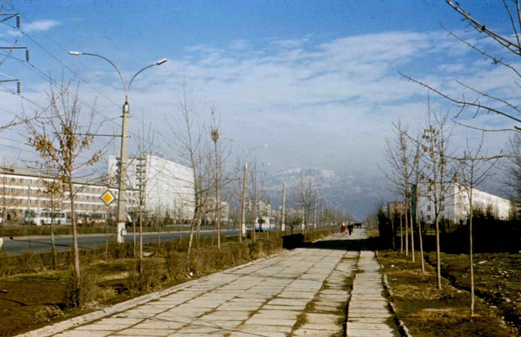 Новосторойки 1978 г