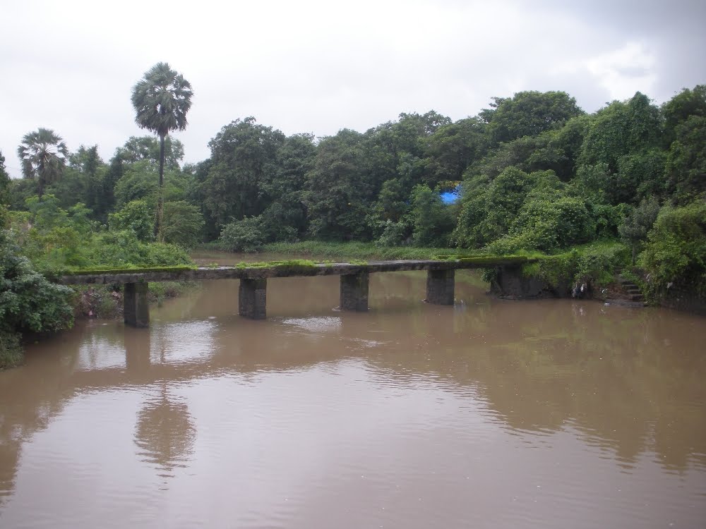 Bridge