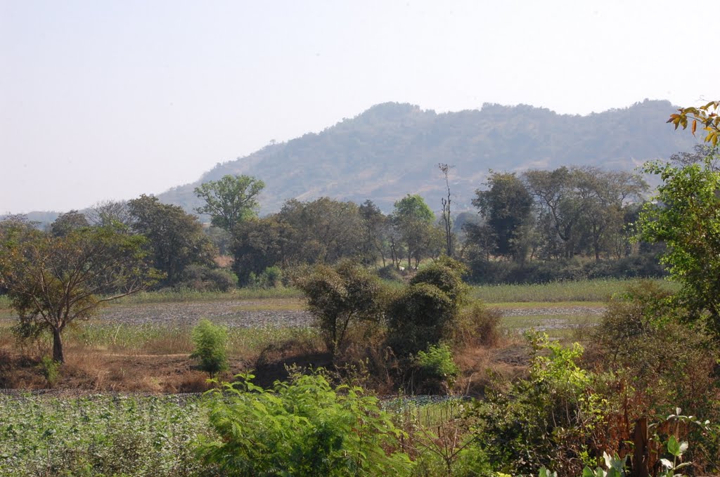 DPAK MALHOTRA, Agriculture, Durtagati Marg - Mumbai Pune xpressway, Maharashtra, NH4, Bharat