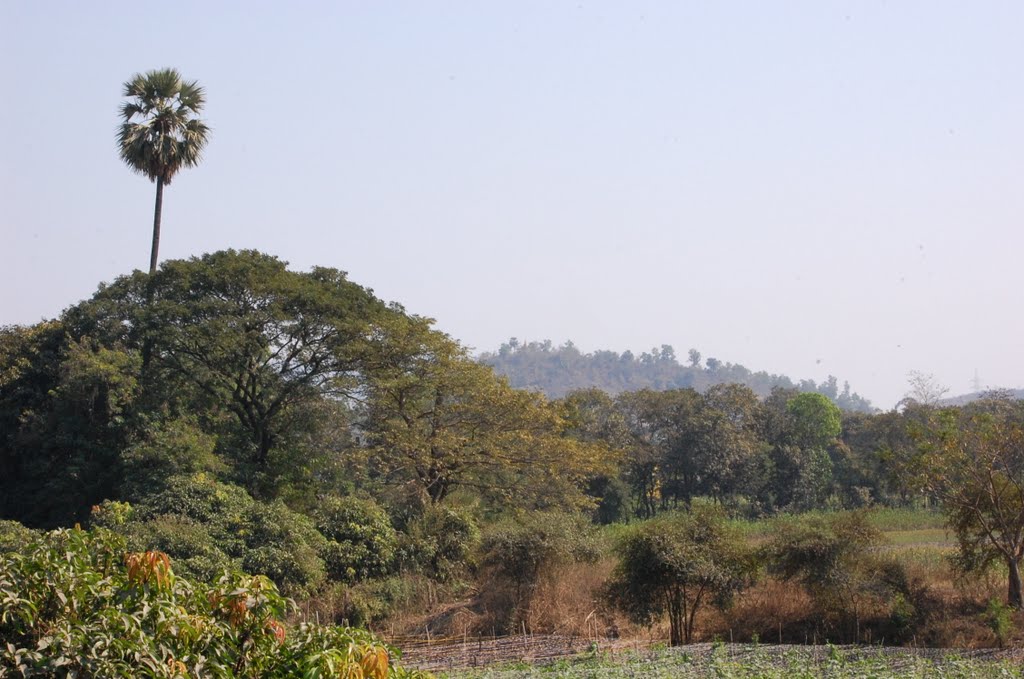 DPAK MALHOTRA, Greenery, Durtagati Marg - Mumbai Pune NH4 xpressway, Maharashtra, Bharat