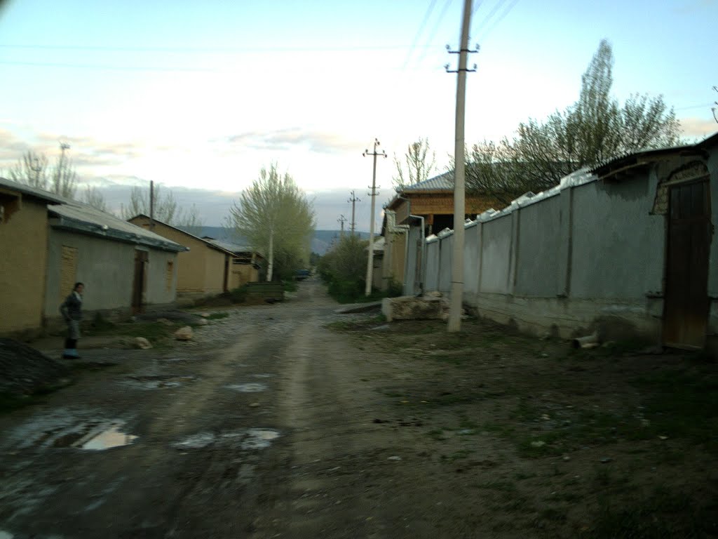 Улица Дусти (2010 Фируз-007)