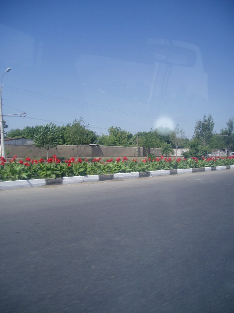 P1010299