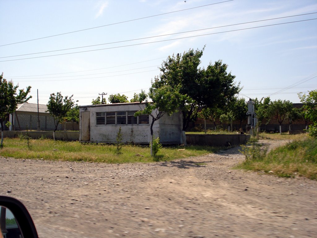 kirgistan suvanabad.borborduk