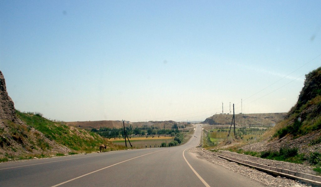 near Spitamen
