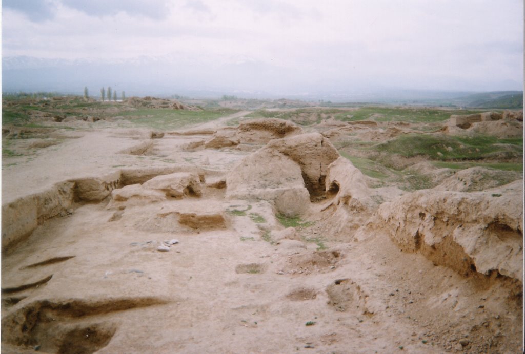Ancient ruins Penjikent