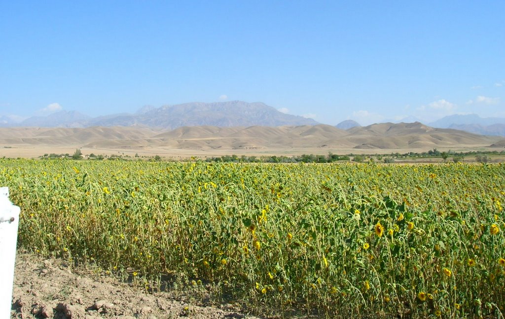 Road to Penjikent, south side