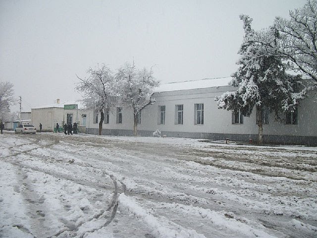 Baharly