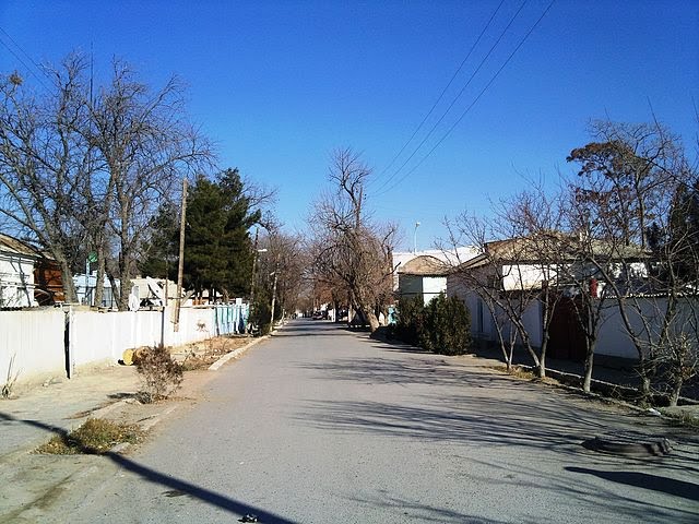 Центральная дорога