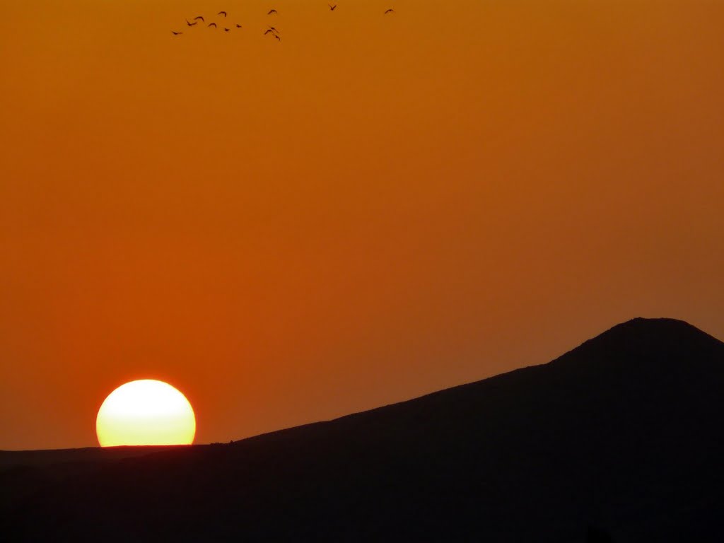 Mashhad