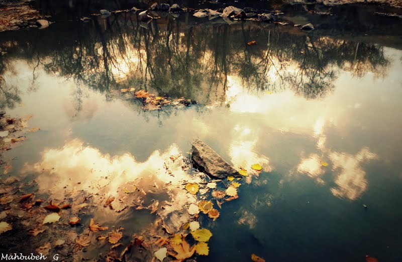 cloud reflection!