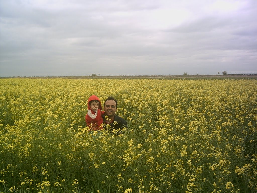 a Farm