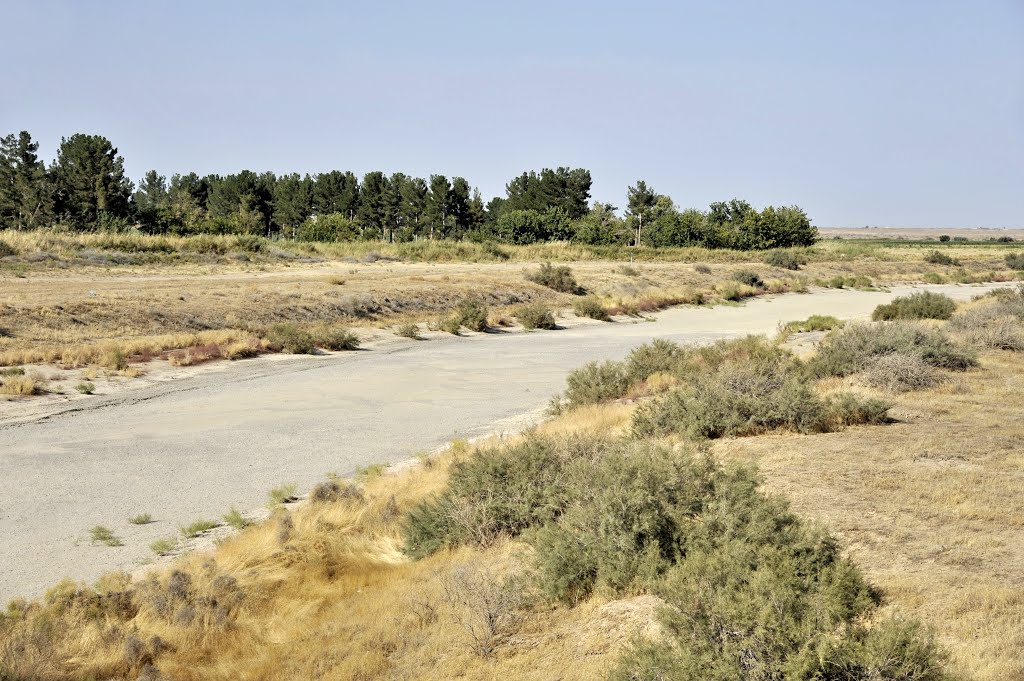 土库曼－伊朗界河  Border from Turkmenistan Serekh to Iran Sarahs