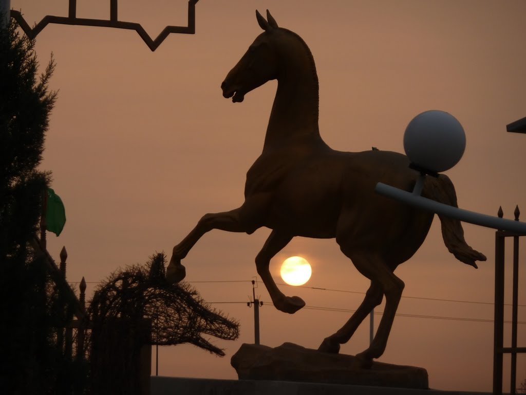 Horse over the sunset (Balkanabat hippodrome)