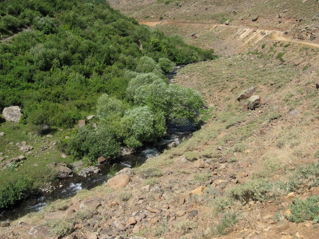 baskoy1