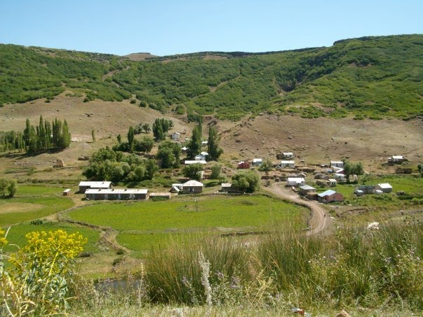 H.ÖZKAN BERŞE