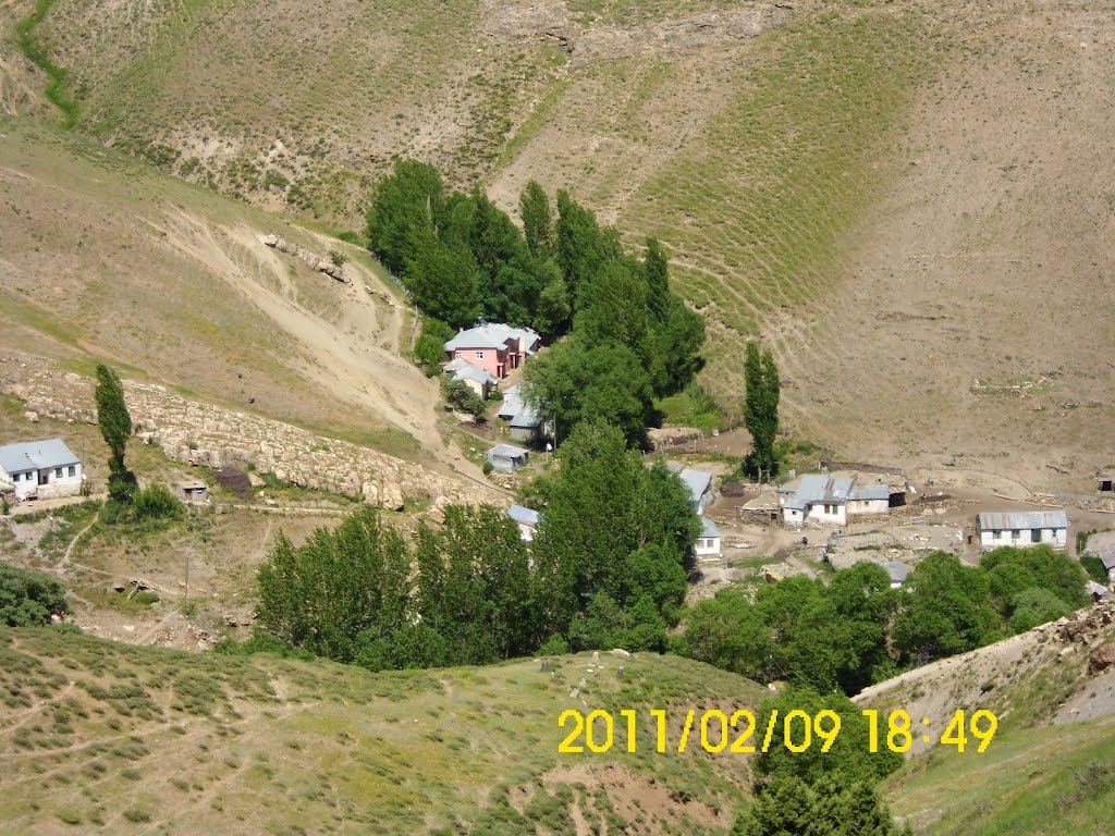 şalgam köy