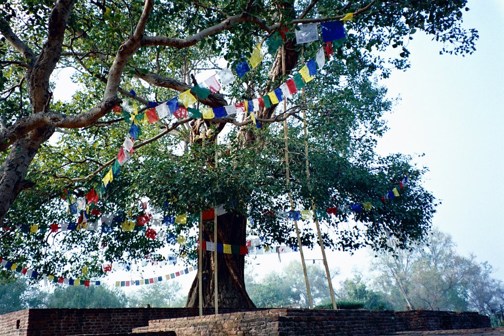 Katra