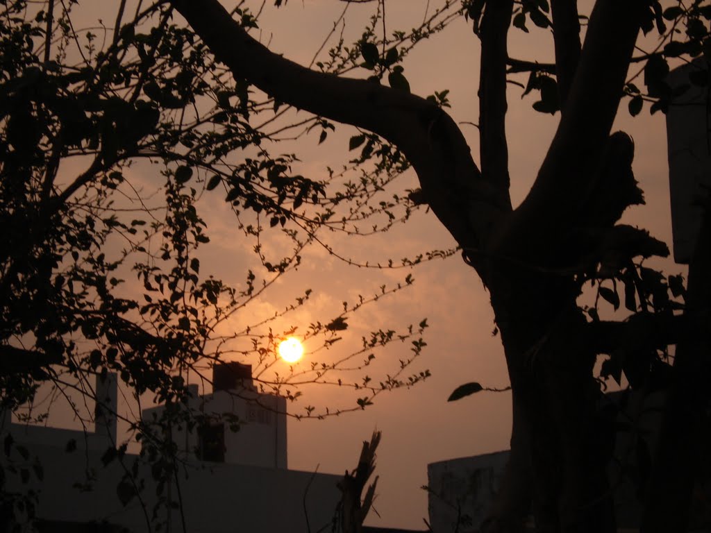 Valentine sun setting view