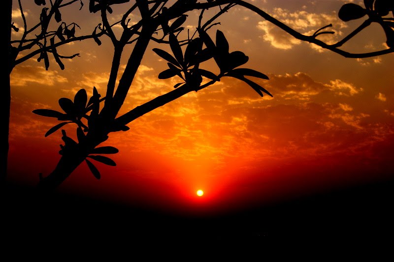 morning beauty