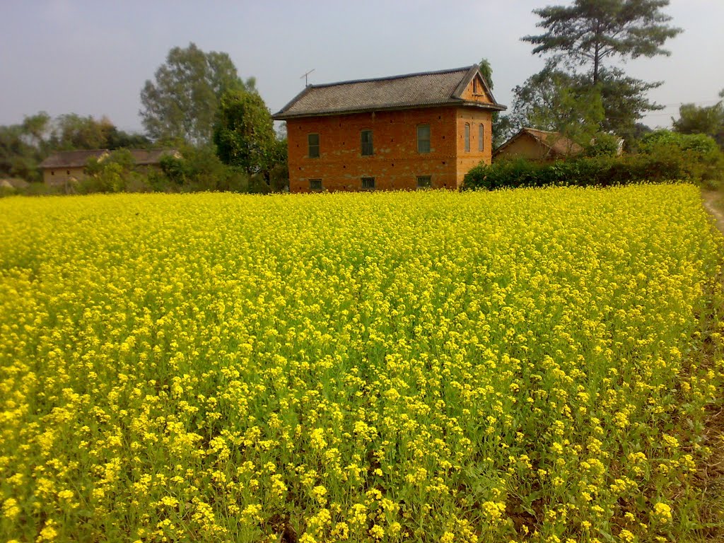 Tulsi̇̄pur