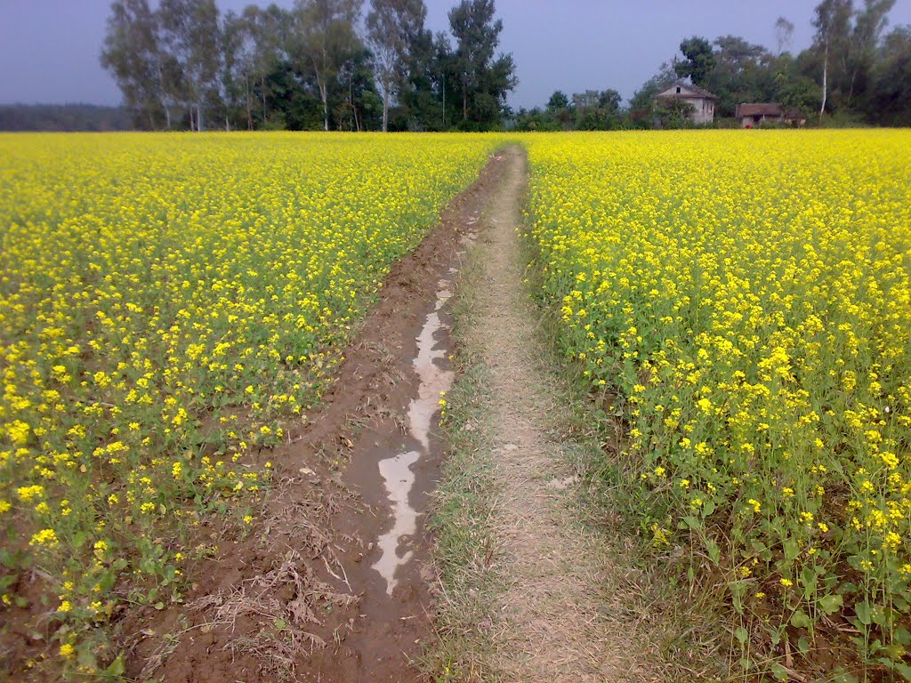 Destination is always so Far........................... Mustard