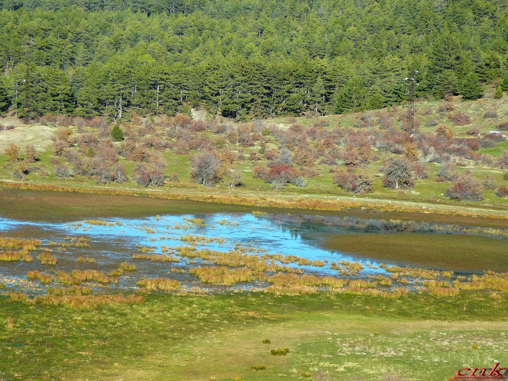 bolu yaylaları.cnk