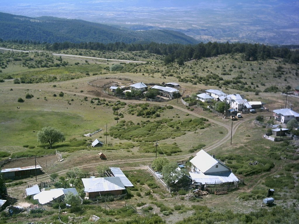 Beypazarı