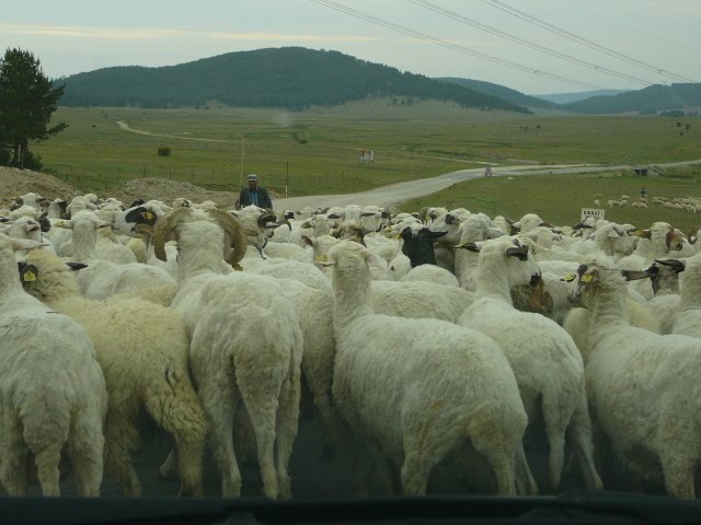 Bolu Yaylaları-İ.Ağcayazı