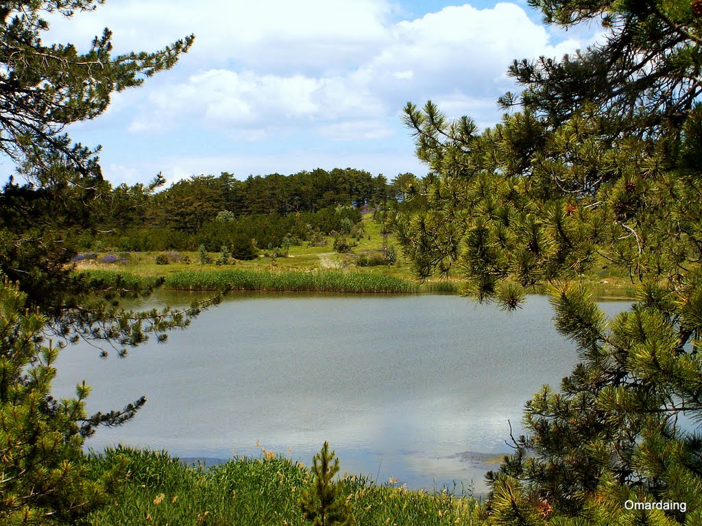 Bolu Kıbrısçık Karagöl 15