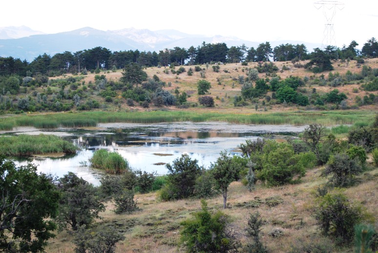 Kıbrıscık