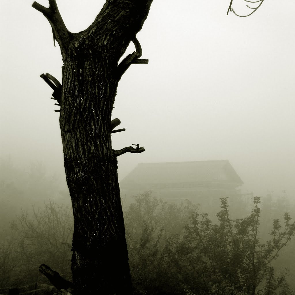 hazy