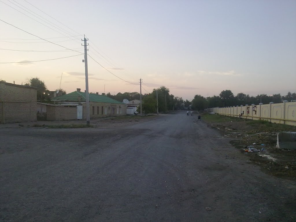 about sanitarium Saparmurat Turkmenbashi. возле санатория Туркменбаши
