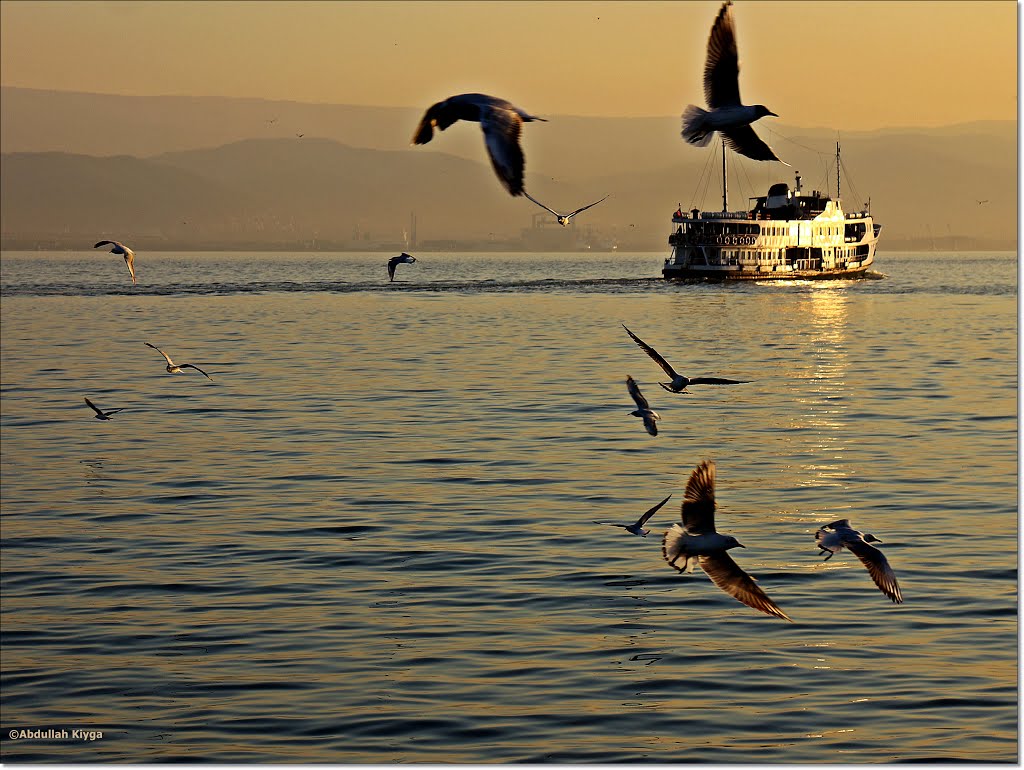 Gulf ferry at sunset in İzmit 