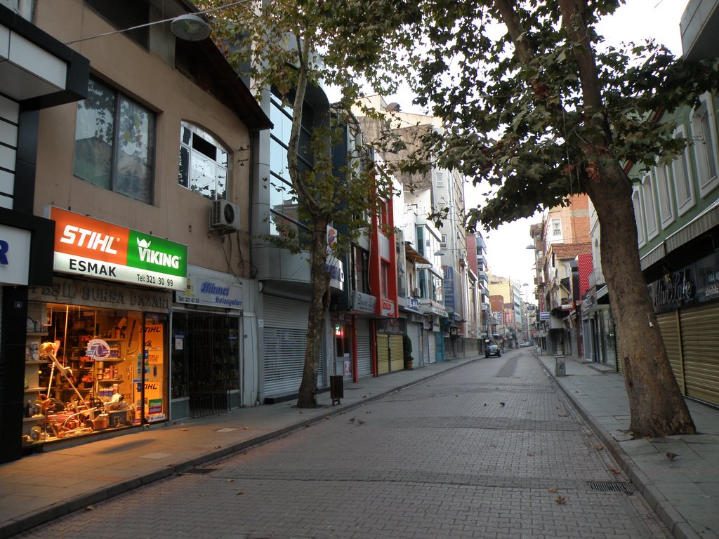 www.yesilbursapazari.com